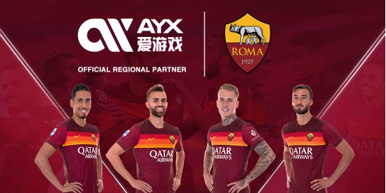 国际经验积